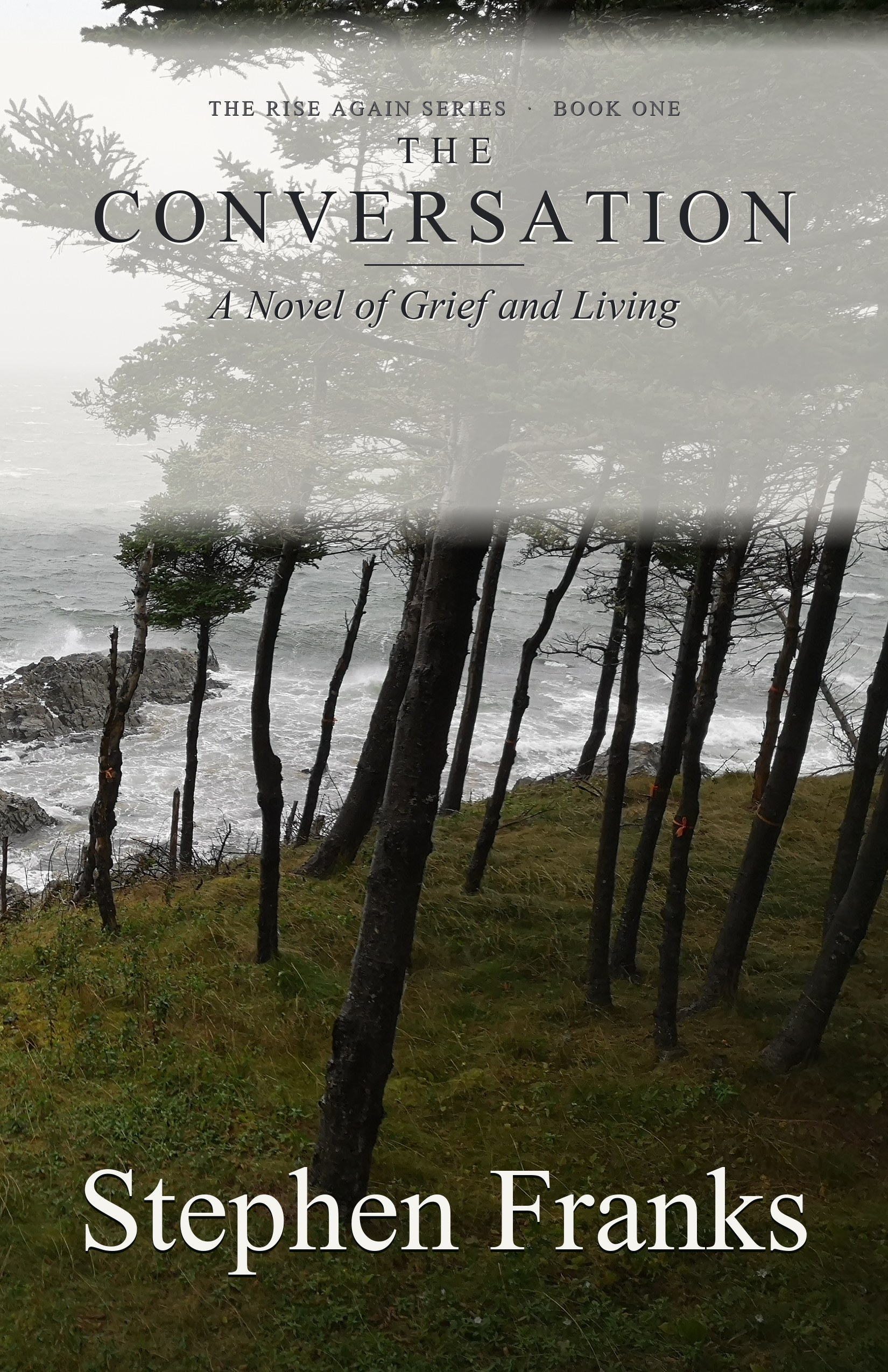 The Conversation book cover