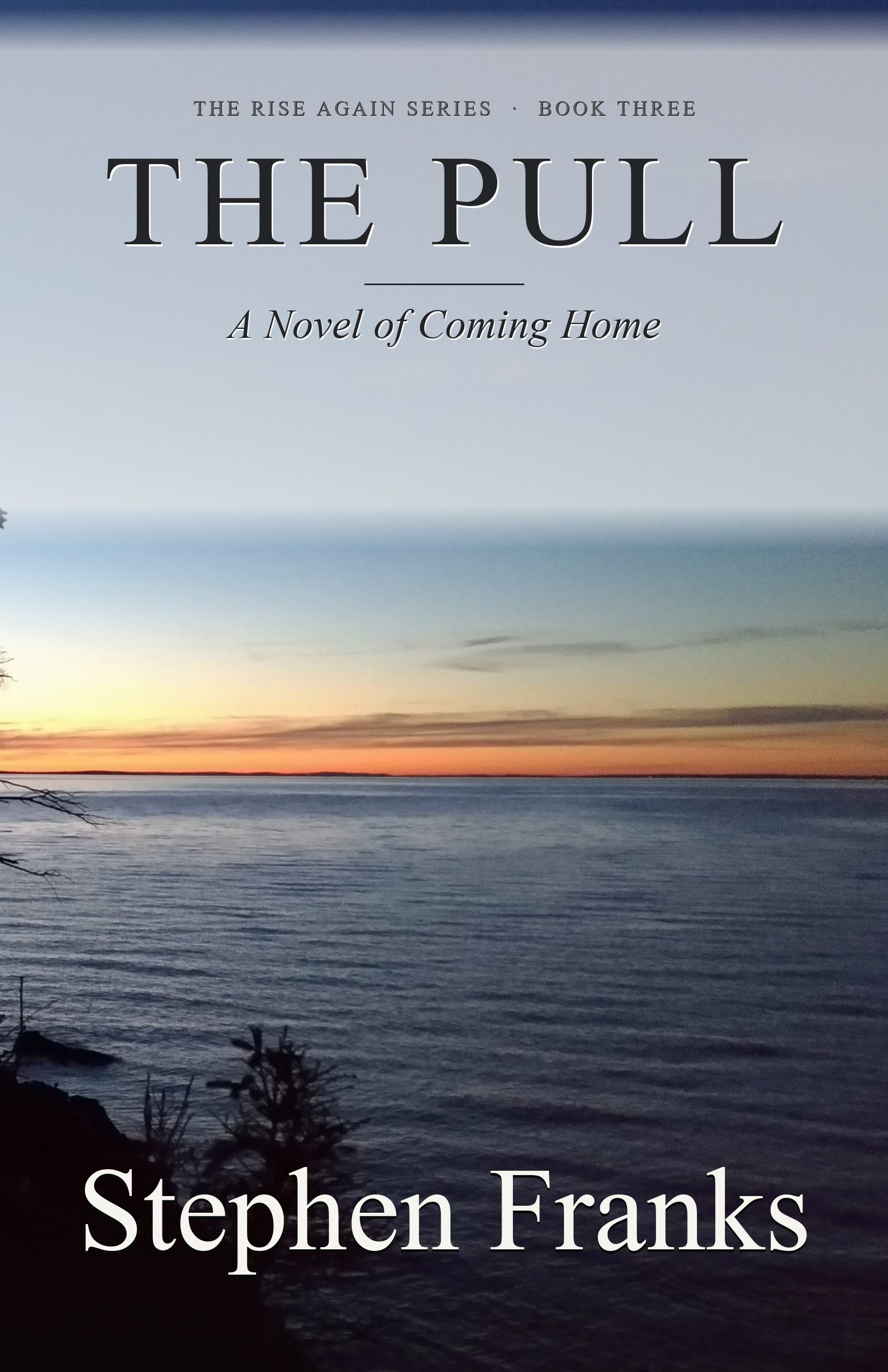 The Pull book cover