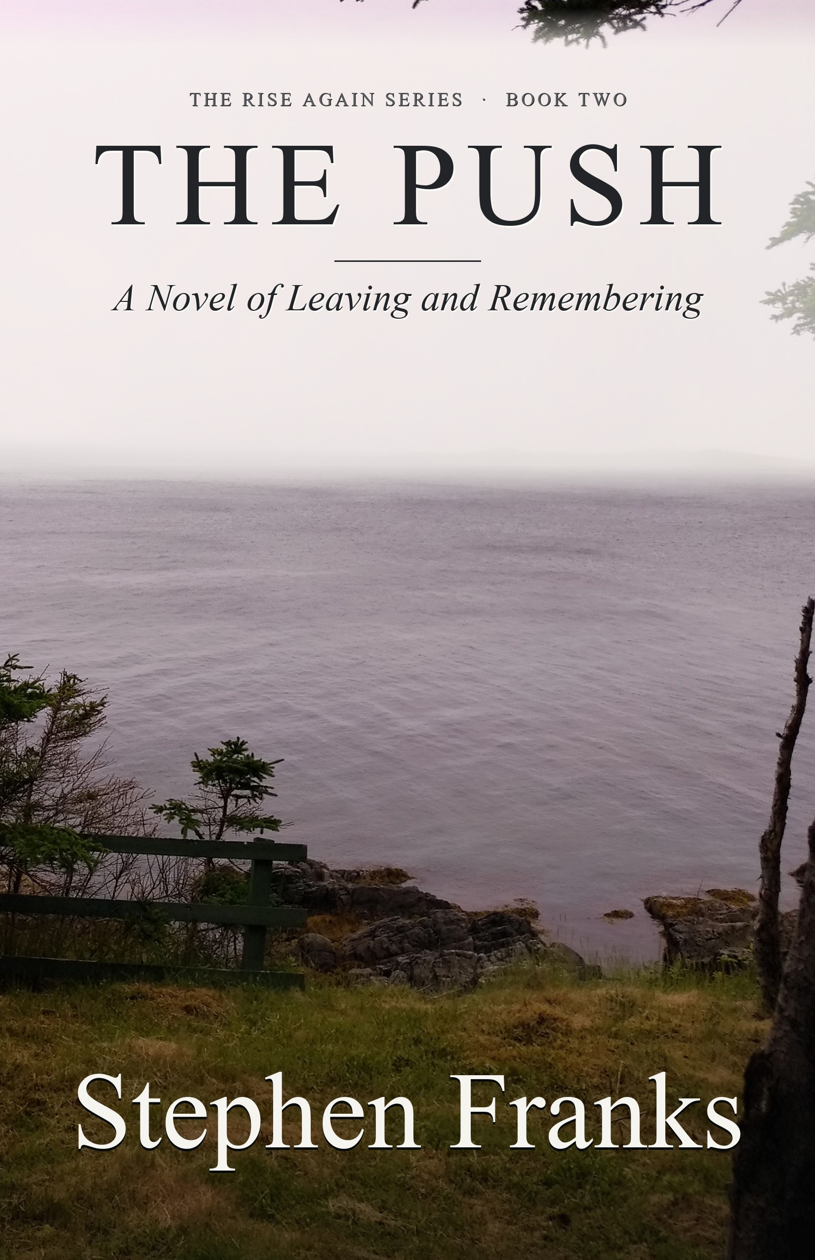 The Push book cover